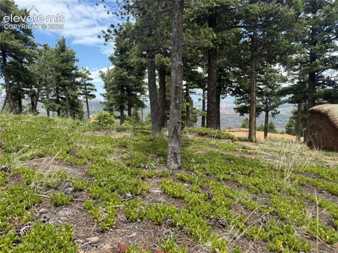 254 Grand Horizon View