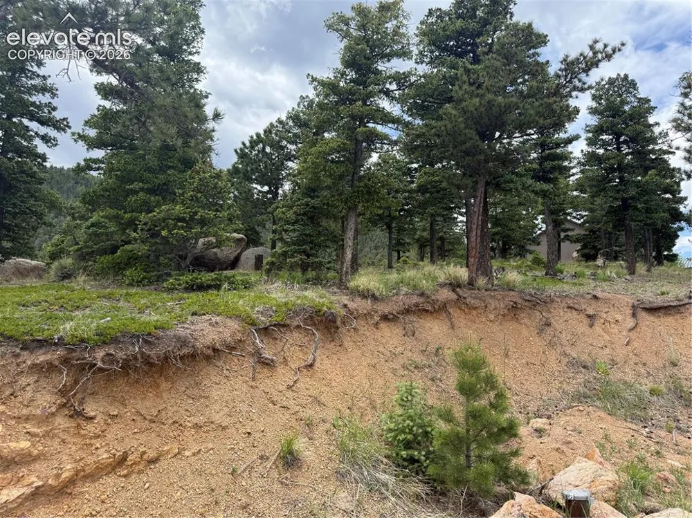 254 Grand Horizon View Manitou Springs, CO 80829