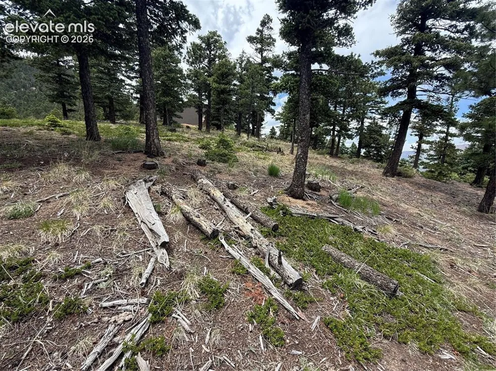 254 Grand Horizon View Manitou Springs, CO 80829