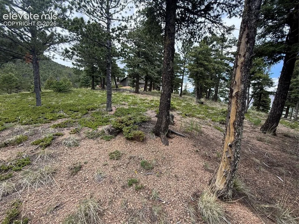 254 Grand Horizon View Manitou Springs, CO 80829