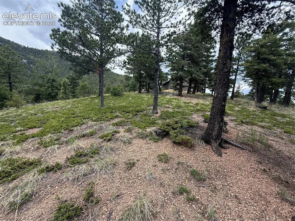 254 Grand Horizon View Manitou Springs, CO 80829