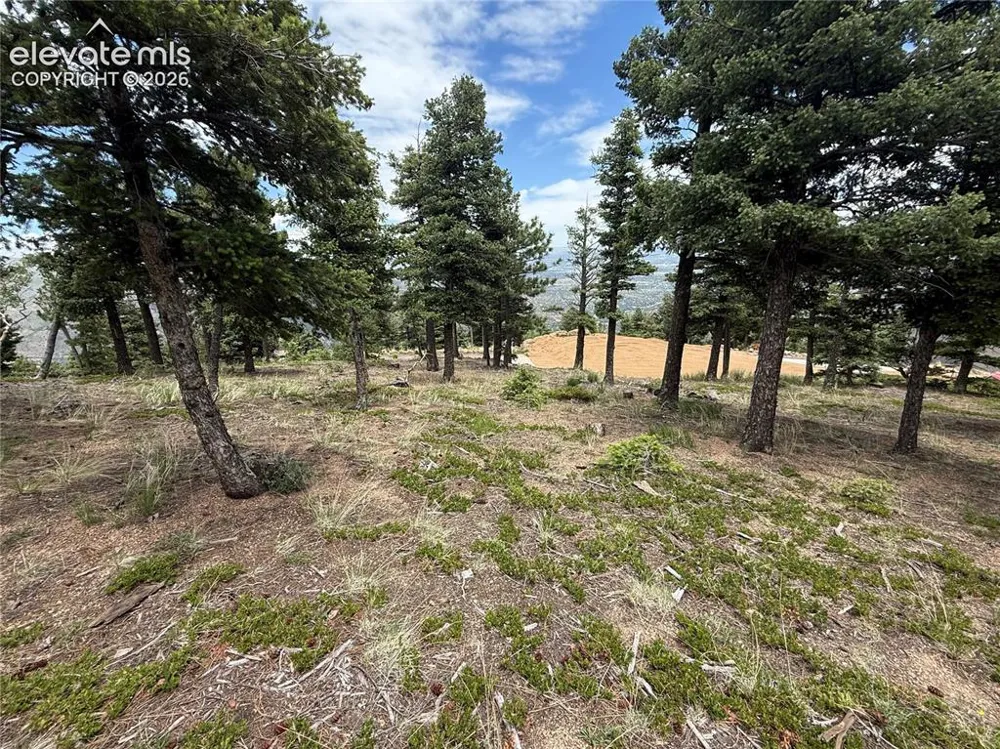 254 Grand Horizon View Manitou Springs, CO 80829