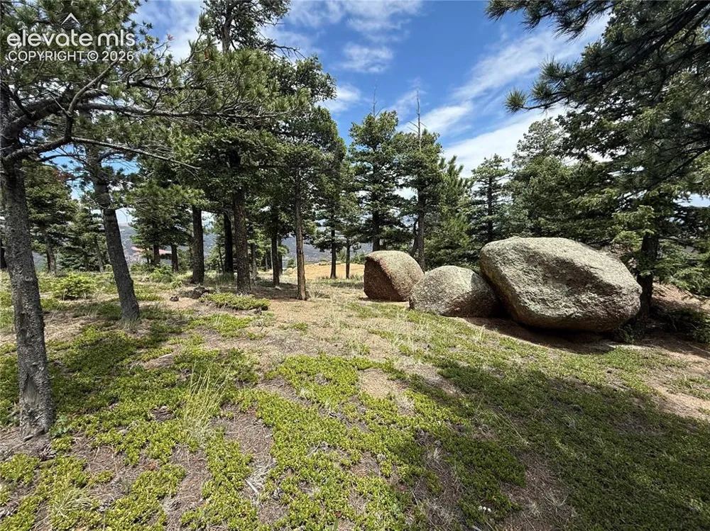 254 Grand Horizon View Manitou Springs, CO 80829