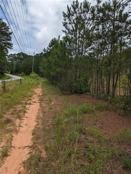 7900 Downs Road Winston, GA 30187