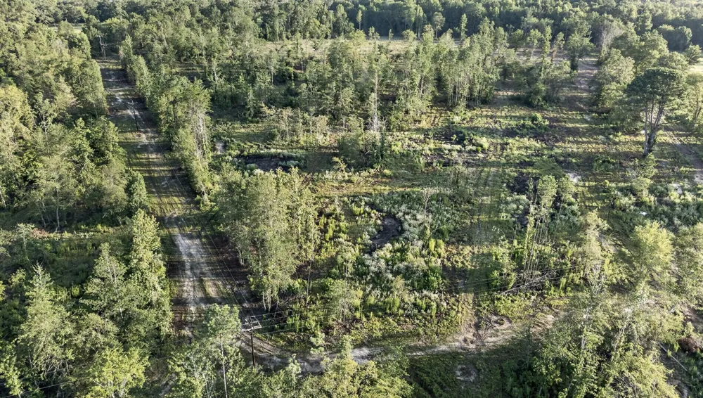 CR 3116 Winona, TX 75792