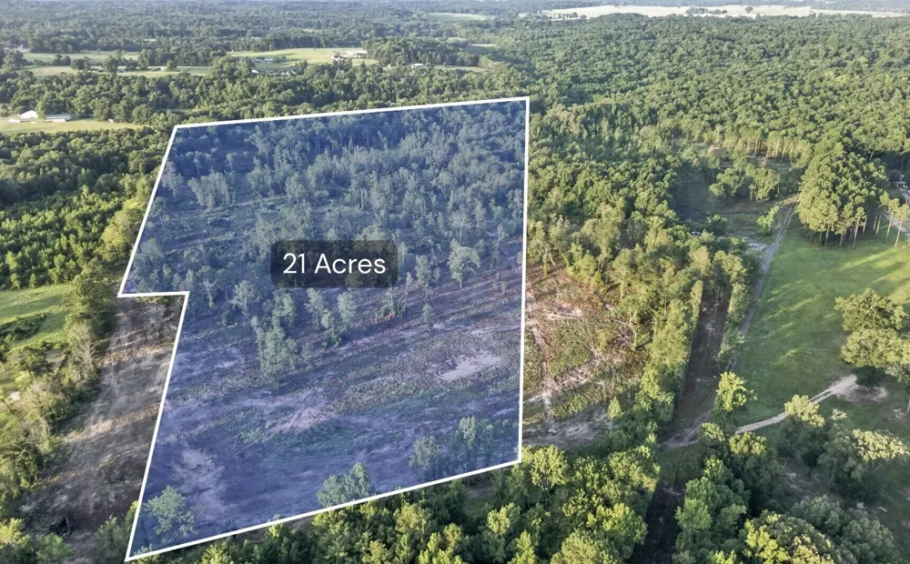 CR 3116 Winona, TX 75792