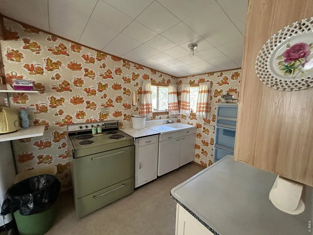 745 Nokomis Road Red Feather Lakes, CO 80545