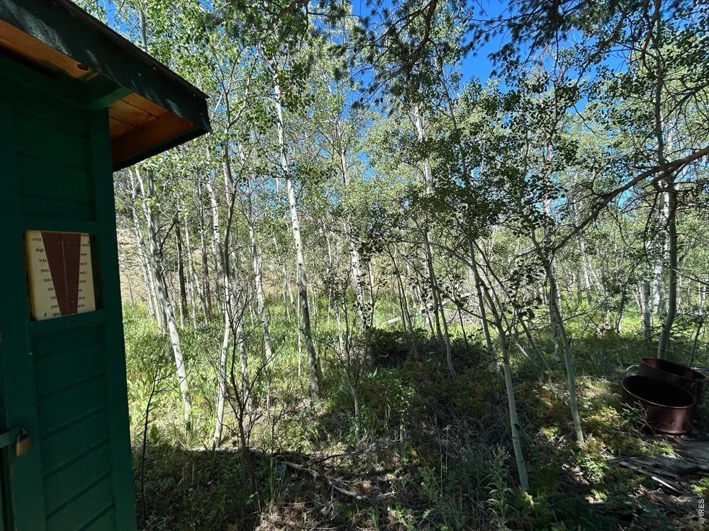 745 Nokomis Road Red Feather Lakes, CO 80545