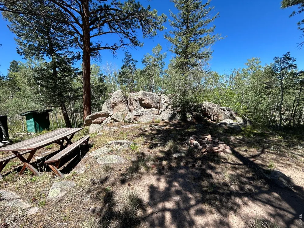 745 Nokomis Road Red Feather Lakes, CO 80545