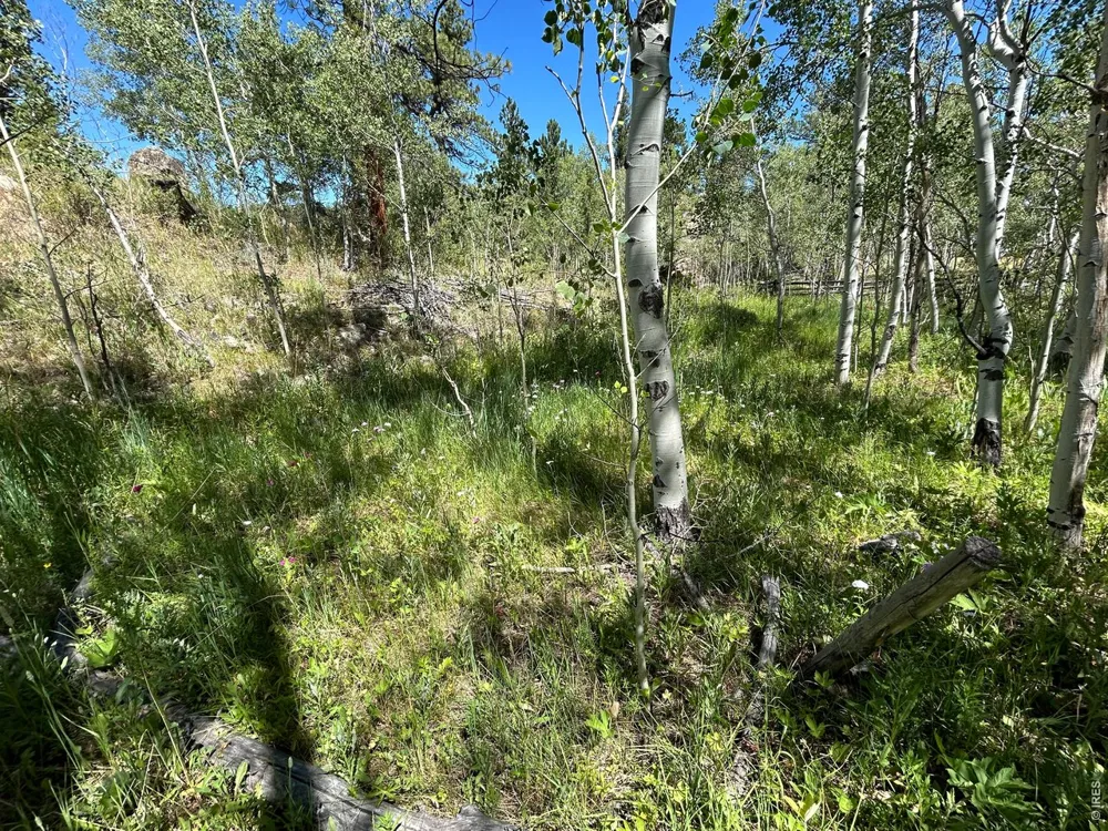 745 Nokomis Road Red Feather Lakes, CO 80545