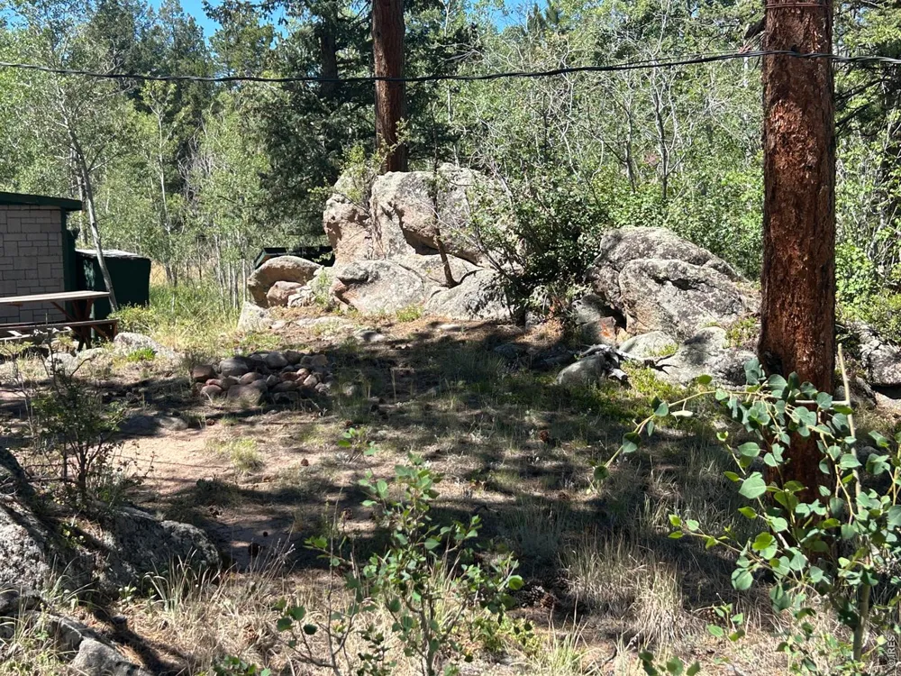 745 Nokomis Road Red Feather Lakes, CO 80545
