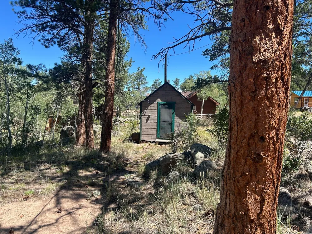 745 Nokomis Road Red Feather Lakes, CO 80545