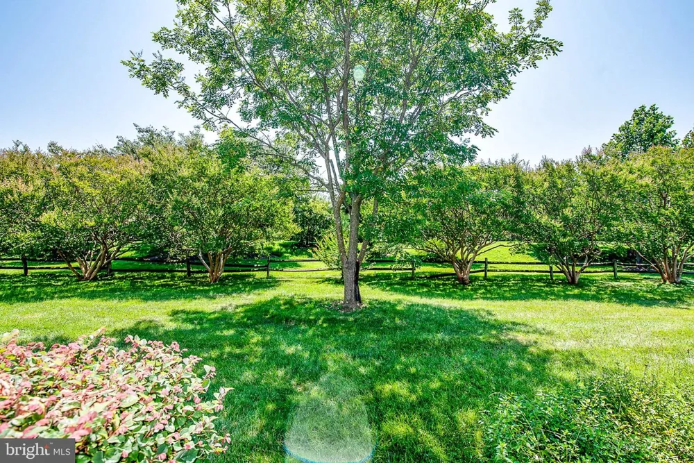 9531 QUAIL HOLLOW DRIVE #405 St Michaels, MD 21663