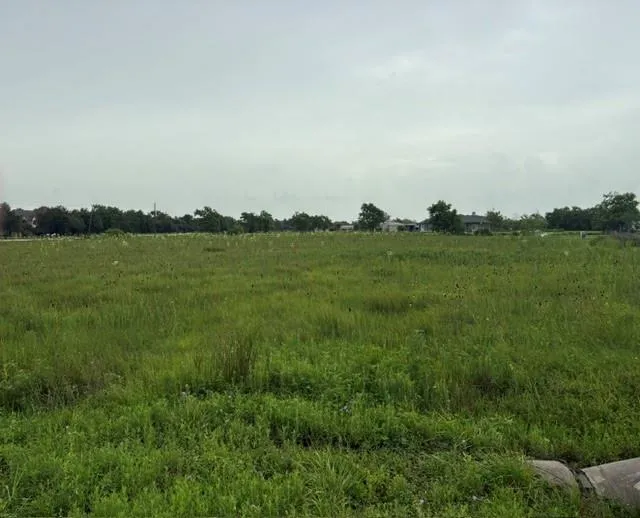 County Road 158 Alvin, TX 77511
