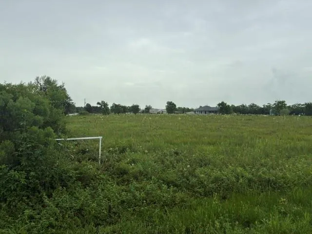 County Road 158 Alvin, TX 77511