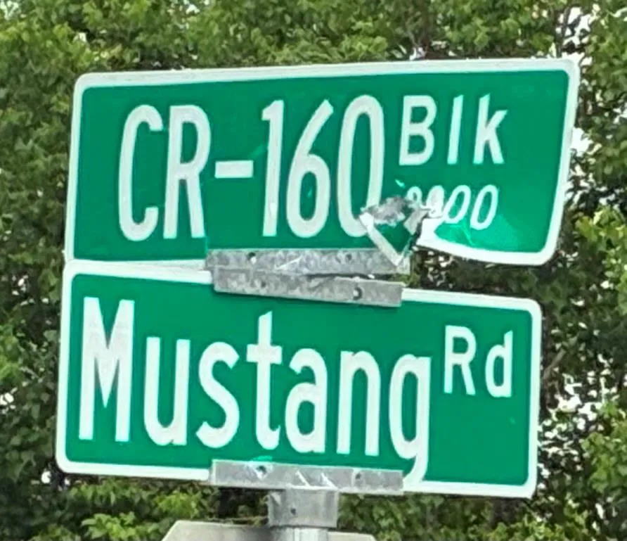 County Road 158 Alvin, TX 77511