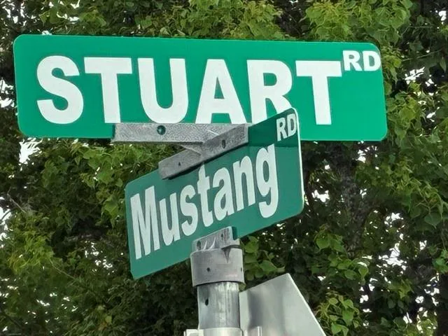 County Road 158 Alvin, TX 77511