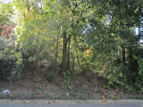 Riverside Drive