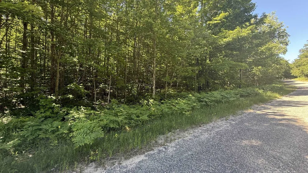 Acacia Drive Mancelona Township, MI 49659
