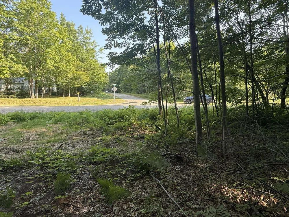 Acacia Drive Mancelona Township, MI 49659