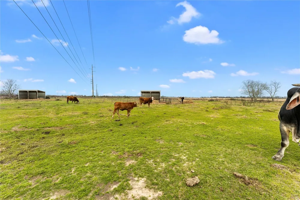311 County Road 18 Damon, TX 77430