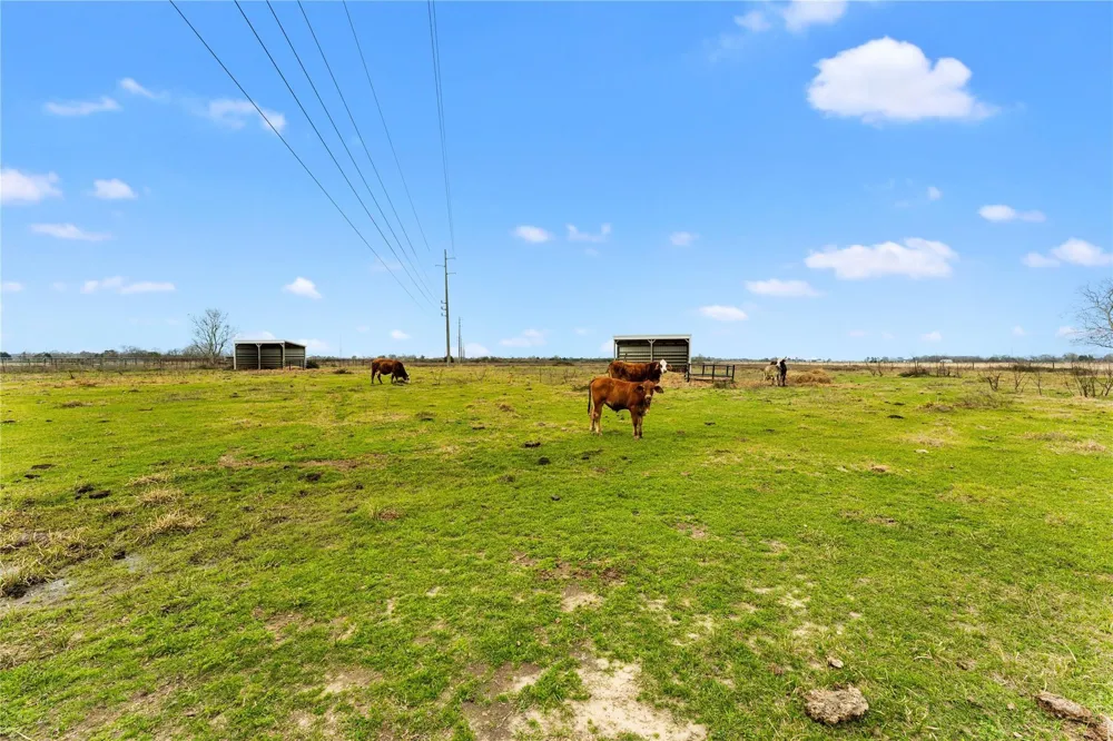 311 County Road 18 Damon, TX 77430