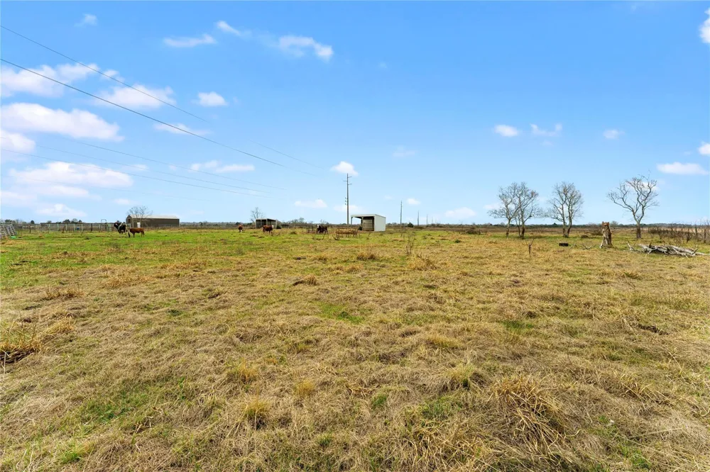 311 County Road 18 Damon, TX 77430