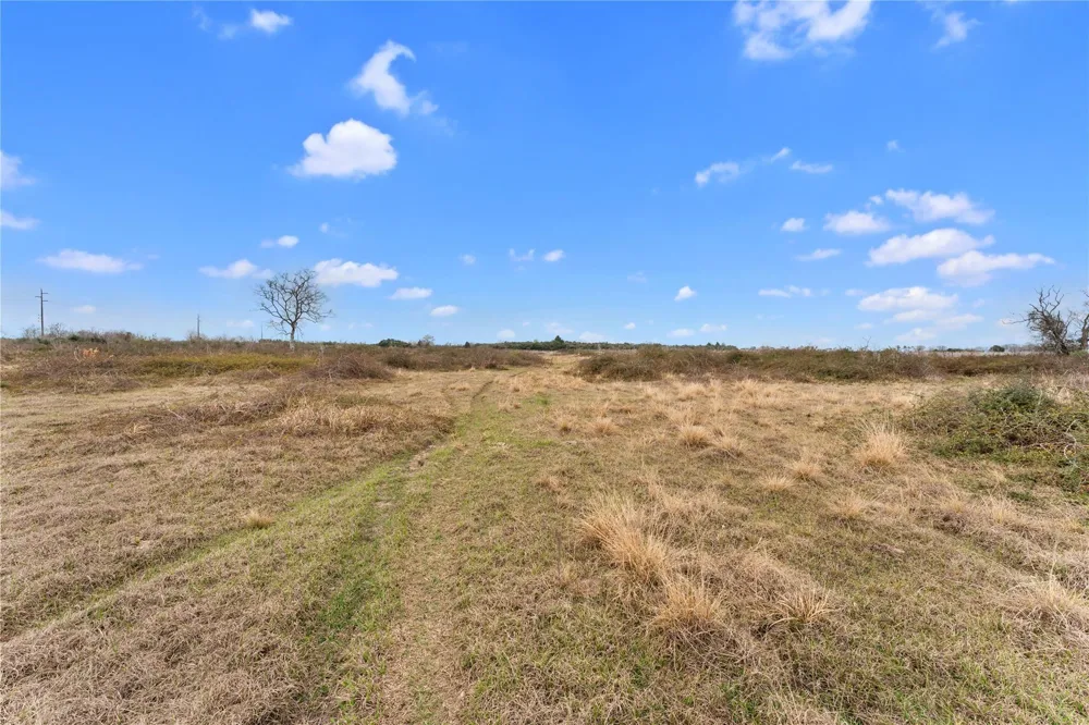 311 County Road 18 Damon, TX 77430