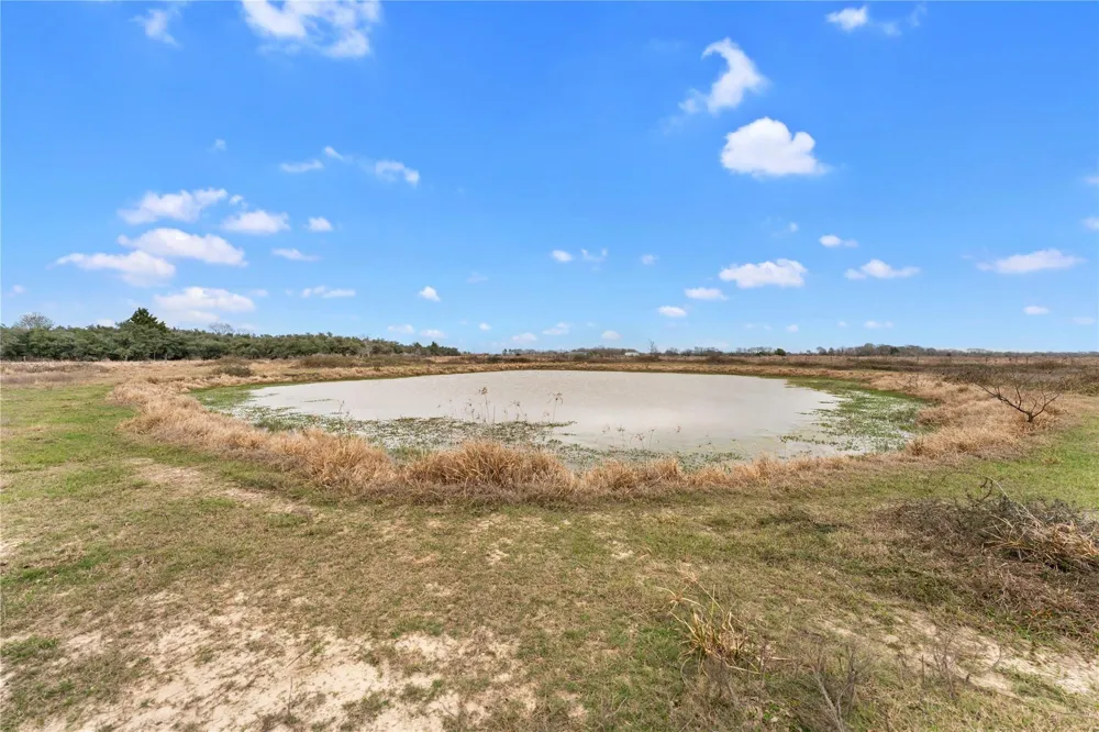 311 County Road 18 Damon, TX 77430