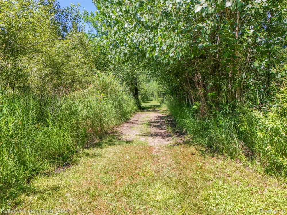 4107 Pine Street Clement Township, MI 48624