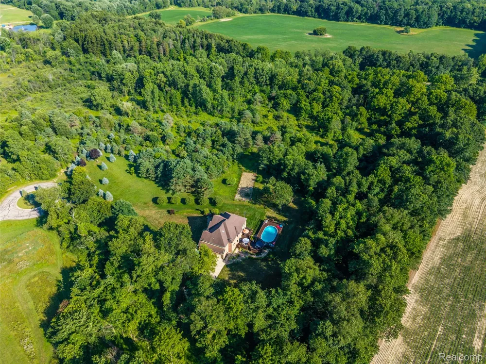 13445 Millie Court Holly Township, MI 48442
