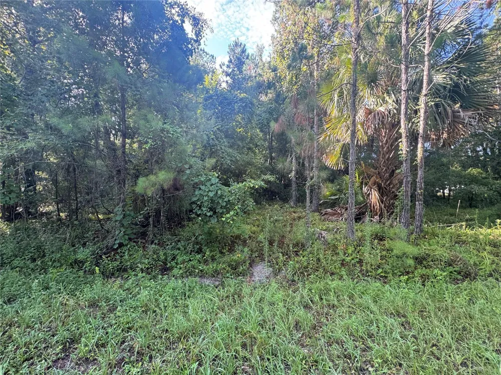TBD SEQUOIA LOOP DRIVE Ocklawaha, FL 32179