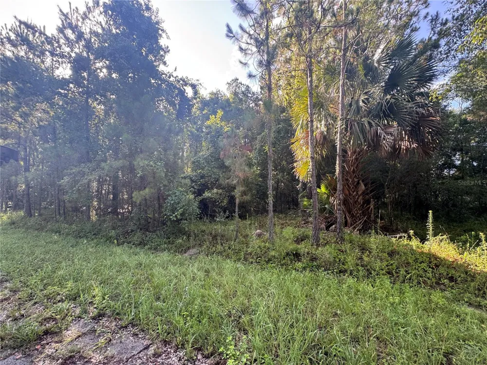 TBD SEQUOIA LOOP DRIVE Ocklawaha, FL 32179