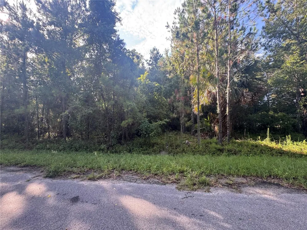 TBD SEQUOIA LOOP DRIVE Ocklawaha, FL 32179