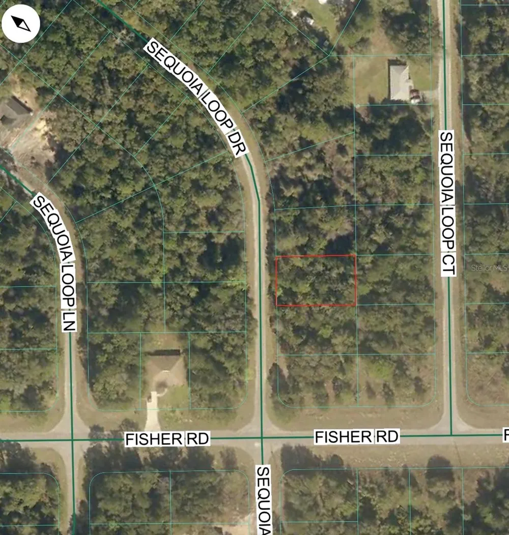 TBD SEQUOIA LOOP DRIVE Ocklawaha, FL 32179