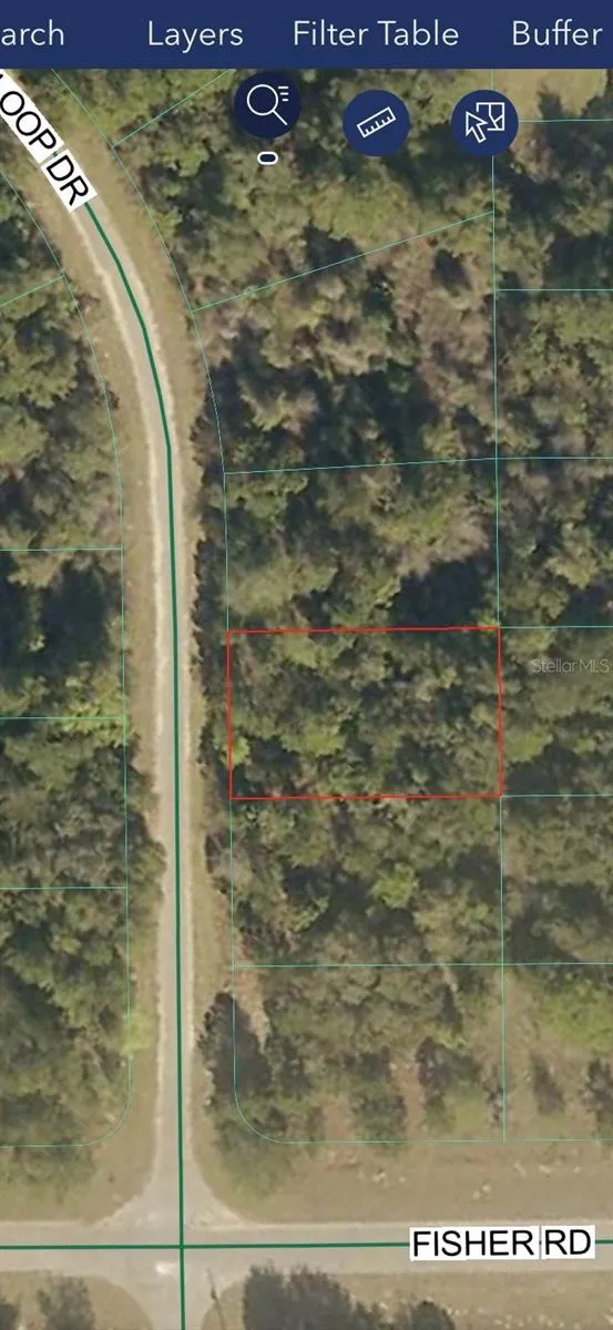 TBD SEQUOIA LOOP DRIVE Ocklawaha, FL 32179