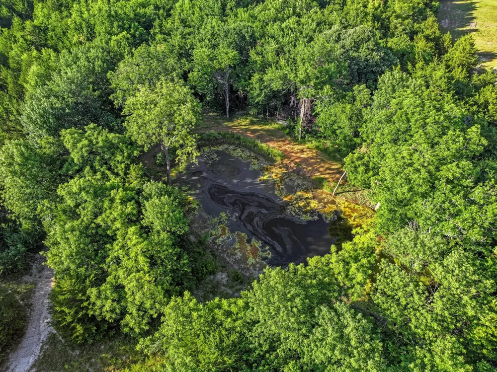 511 County Road 4264 Leonard, TX 75452