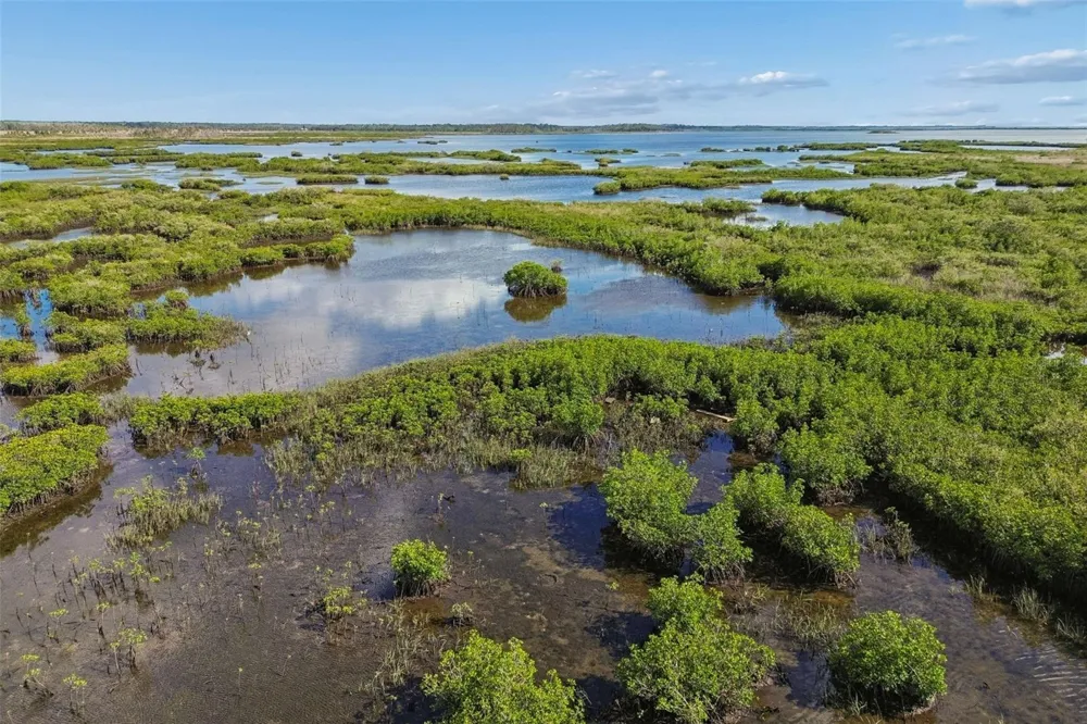 10501 PINE ISLAND DRIVE Weeki Wachee, FL 34607