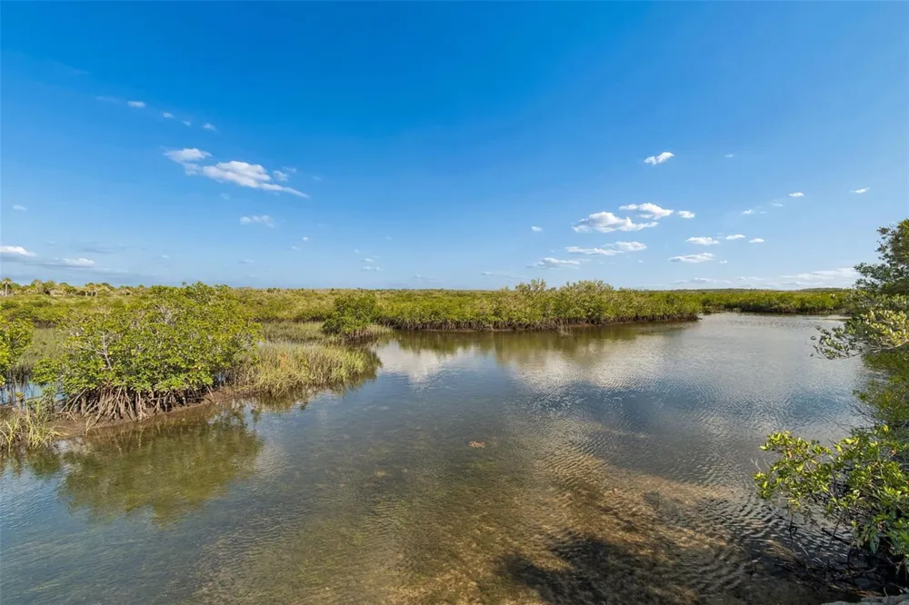 10501 PINE ISLAND DRIVE Weeki Wachee, FL 34607