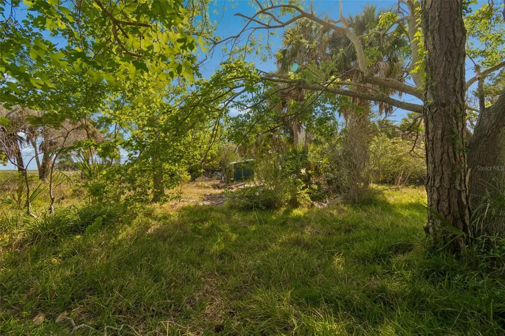 10501 PINE ISLAND DRIVE Weeki Wachee, FL 34607