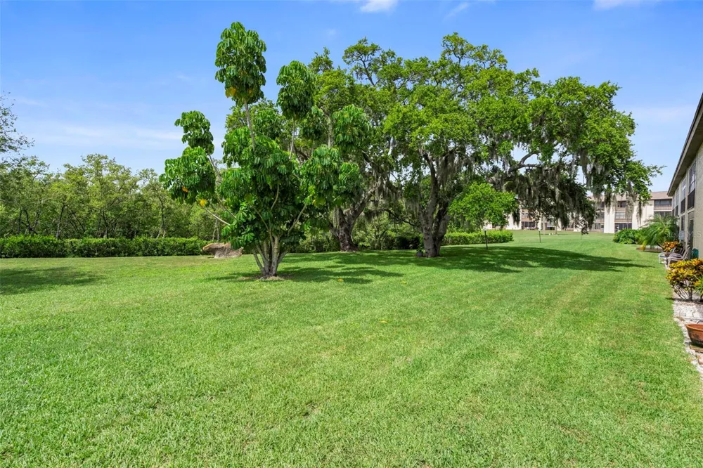 4849 ONYX LANE #204 New Port Richey, FL 34652