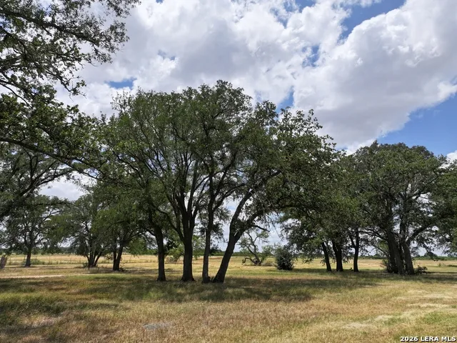 497 LUCKENBACH RD Fredericksburg, TX 78624