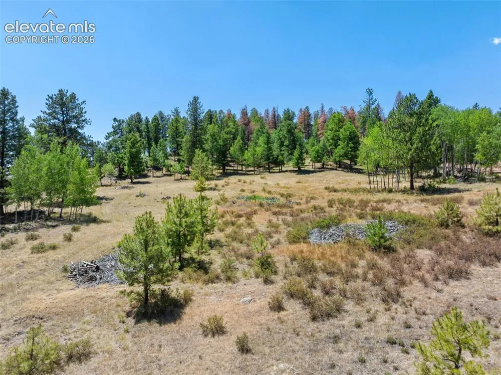 841 Plateau Drive Guffey, CO 80820