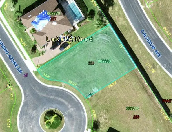 210 SPRING AZURE DRIVE Lake Alfred, FL 33850
