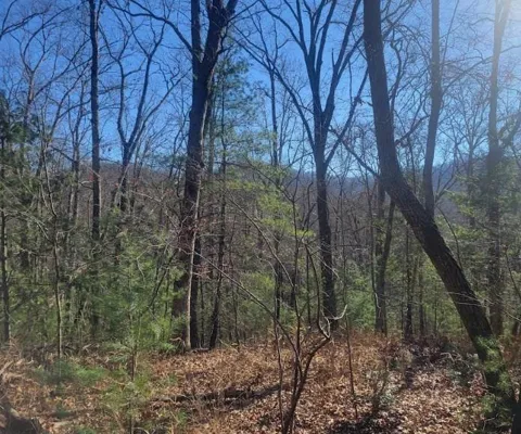 Lot 26 Countryside Lane