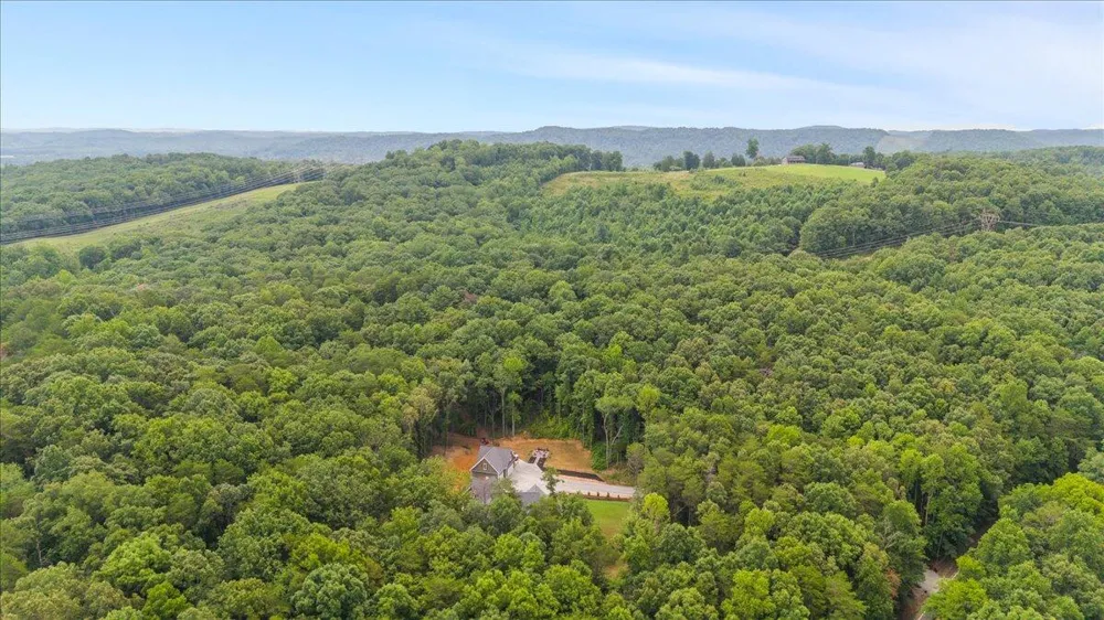 3710 River Road Decatur, TN 37322