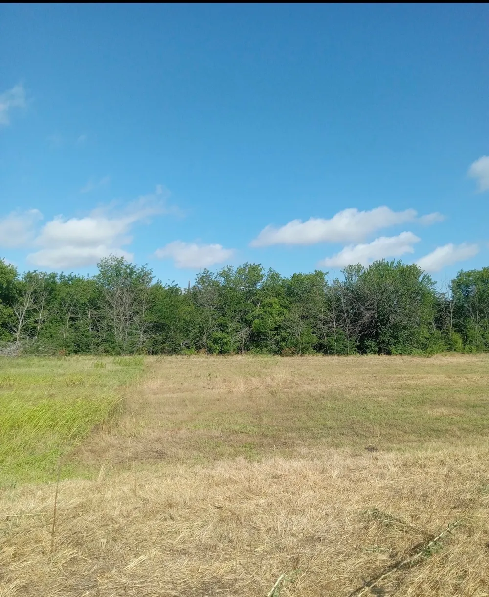 309 Creekside Valley View, TX 76272