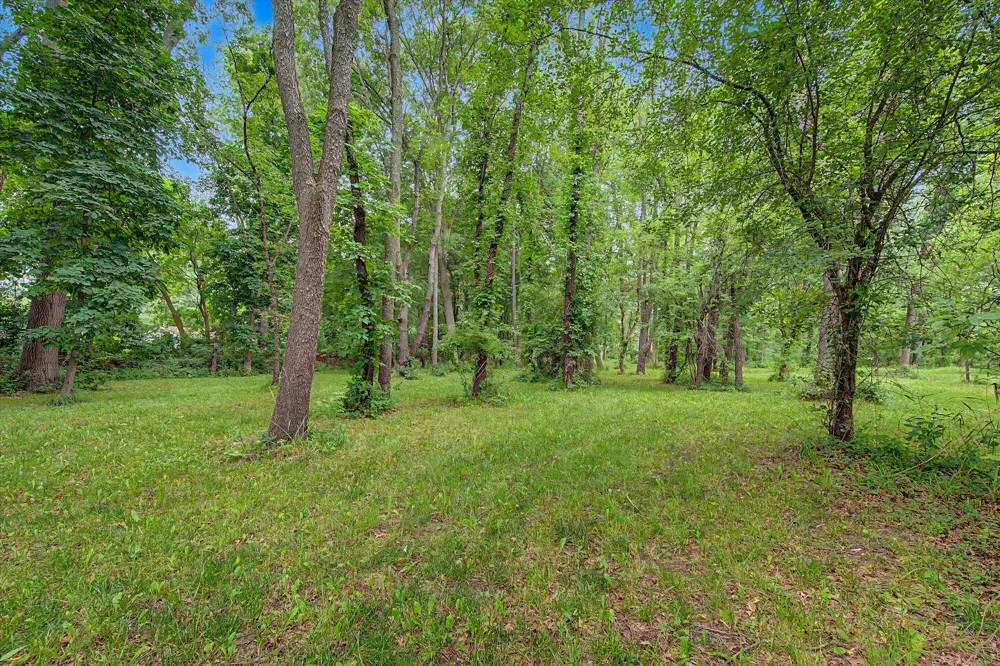 Winters Lane Whitmore Lake, MI 48189