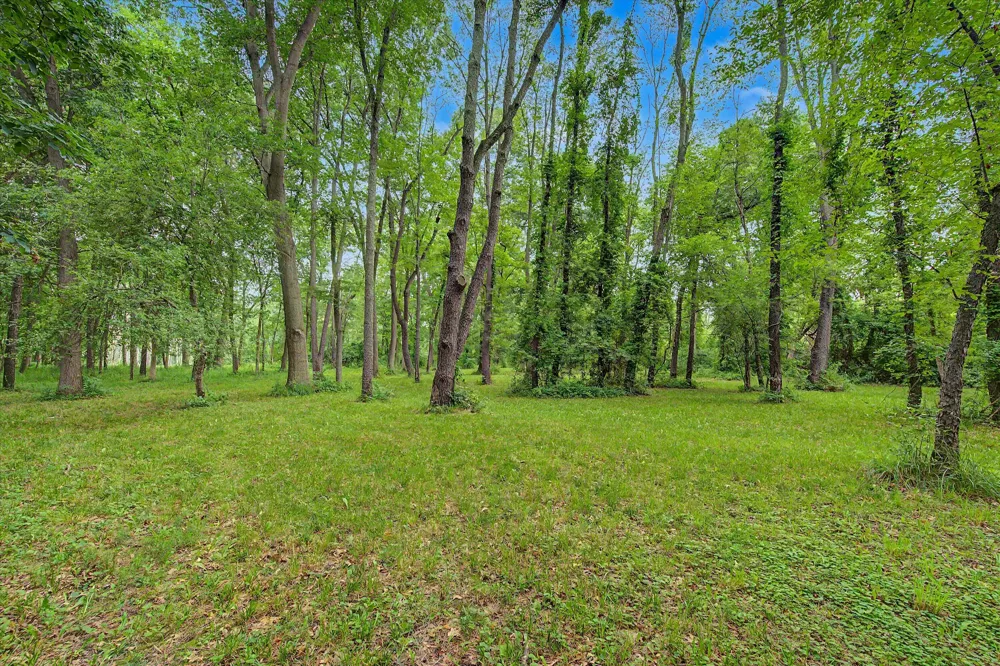 Winters Lane Whitmore Lake, MI 48189