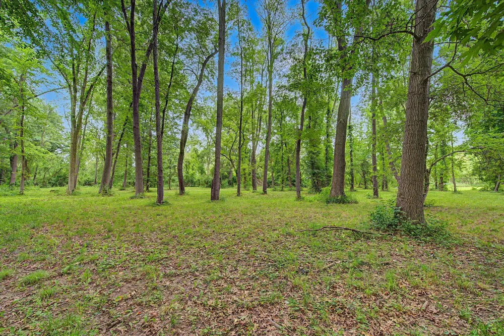 Winters Lane Whitmore Lake, MI 48189